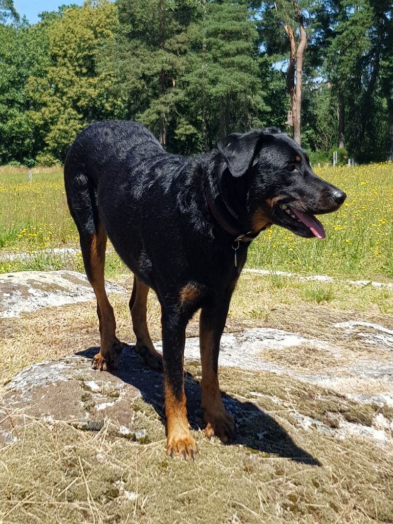 Naïa by garonne du domaine de carpe diem